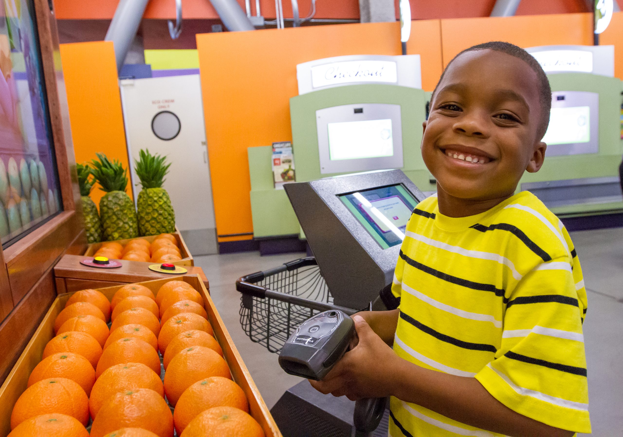 kindergarten field trips in orange county