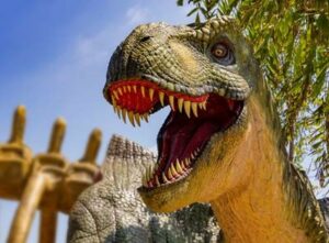 Visit Discovery Cube - Discovery Cube