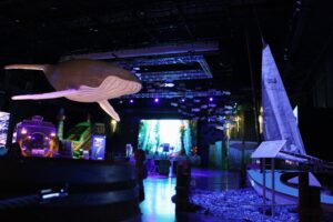 Visit Discovery Cube - Discovery Cube